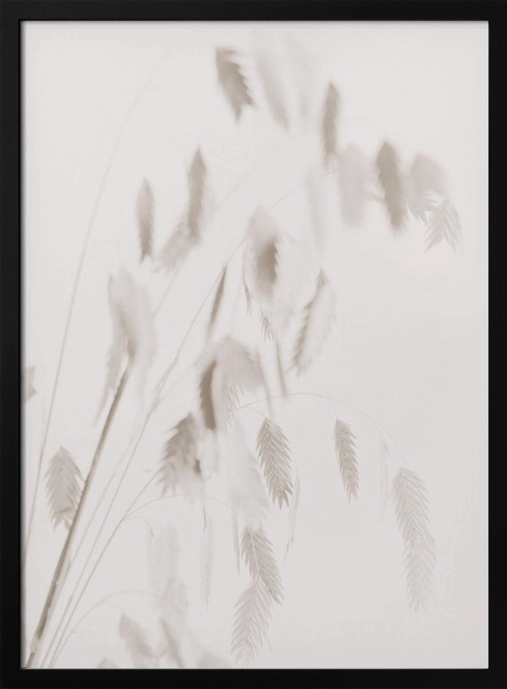 Getrocknetes Gras_rosa | Poster