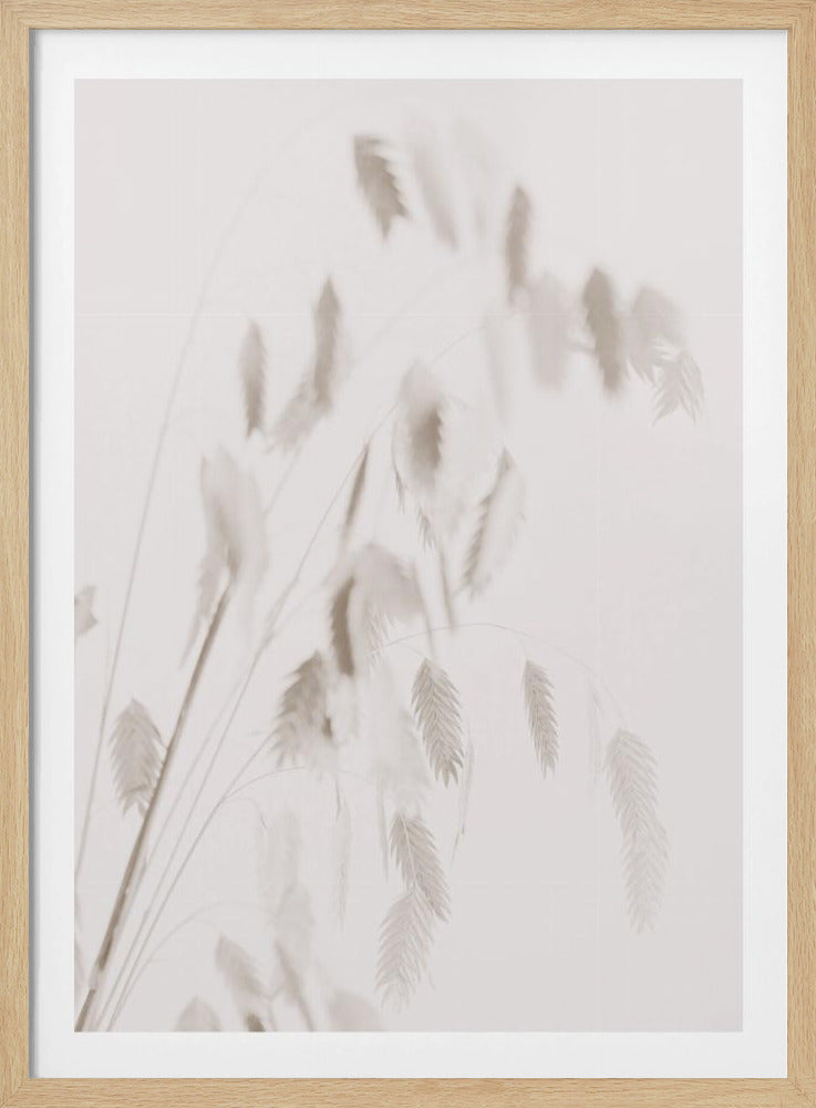 Getrocknetes Gras_rosa | Poster