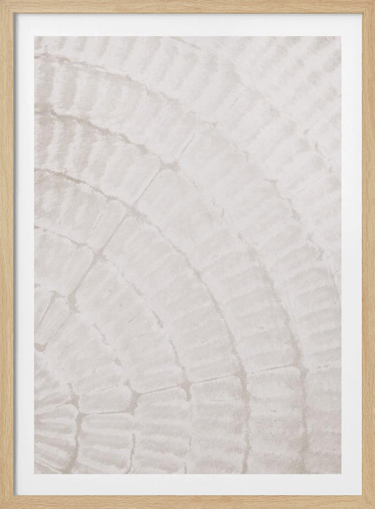 Musterteller_beige_2 | Poster