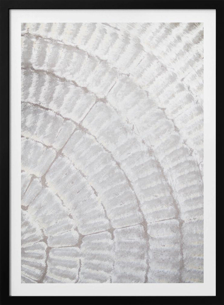 Muster Teller_Grau_2 | Poster