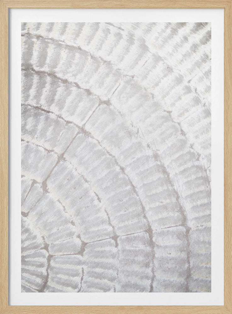 Muster Teller_Grau_2 | Poster