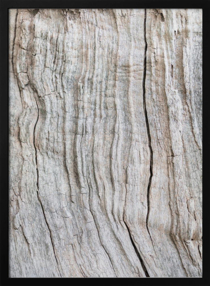 Holzmuster | Poster