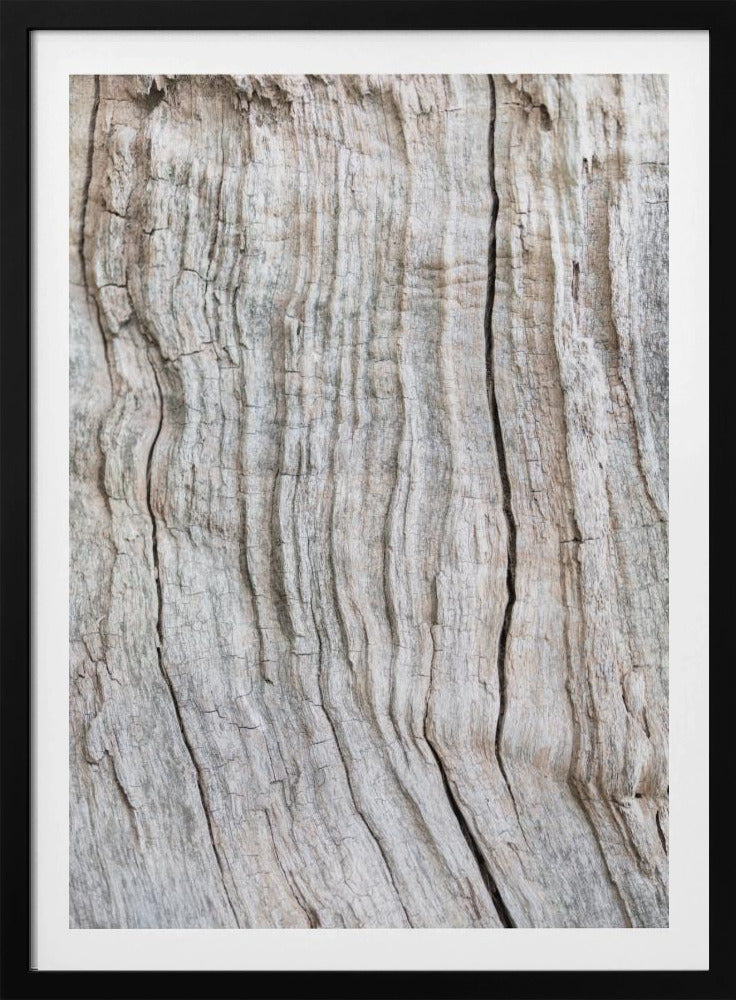 Holzmuster | Poster