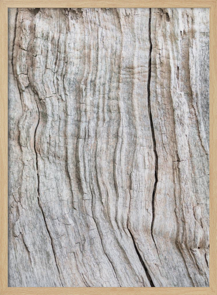 Holzmuster | Poster