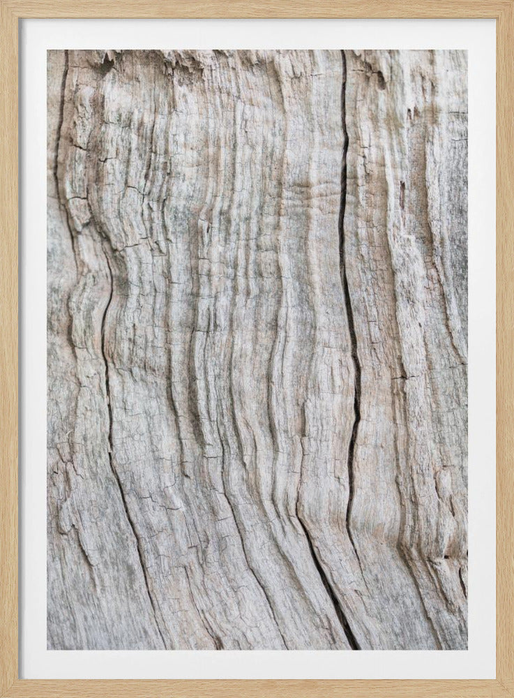 Holzmuster | Poster