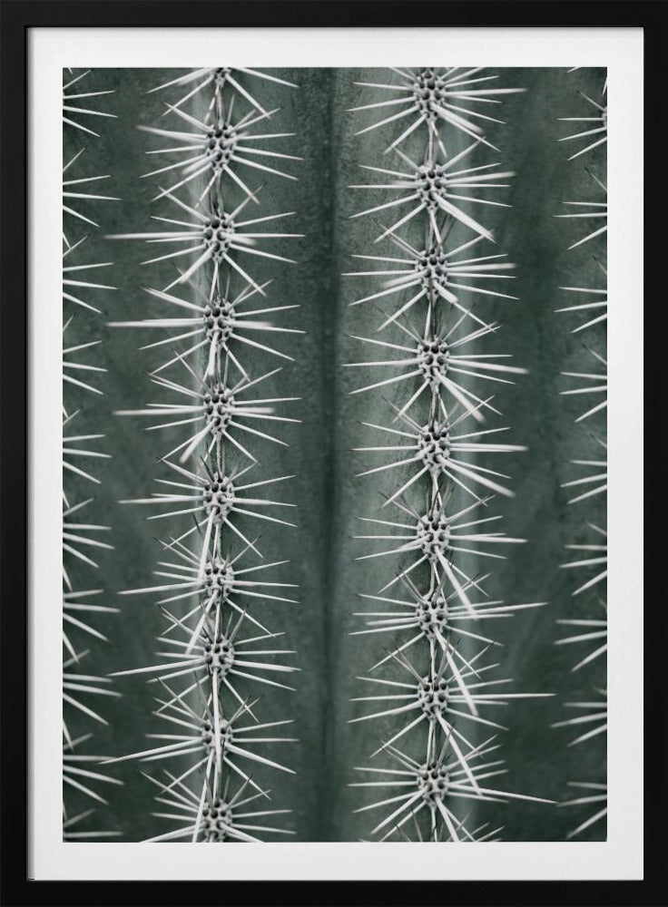 Kaktusgrün | Poster