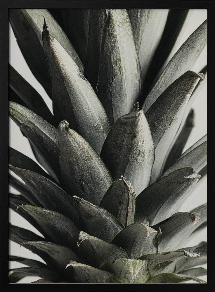 Ananas Nahaufnahme | Poster