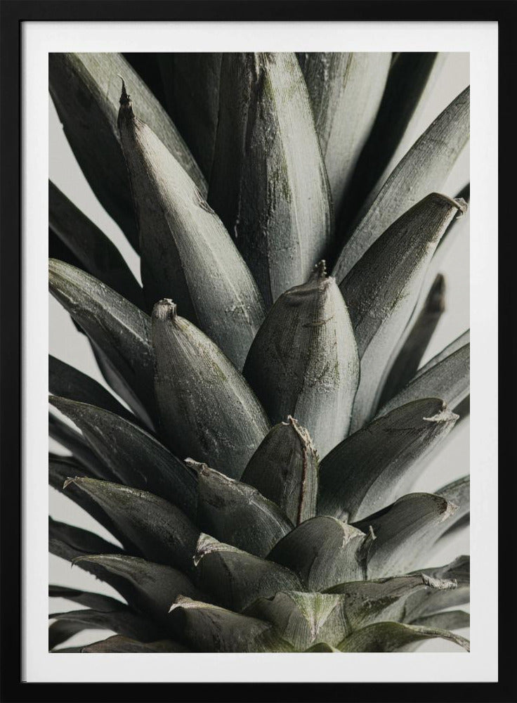 Ananas Nahaufnahme | Poster