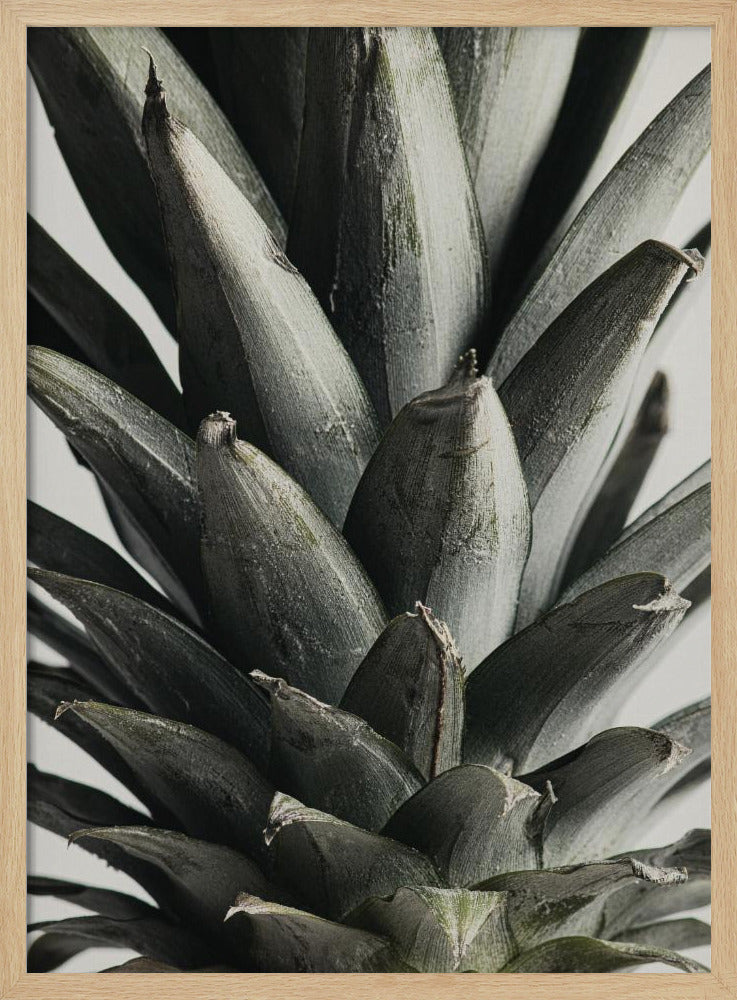 Ananas Nahaufnahme | Poster