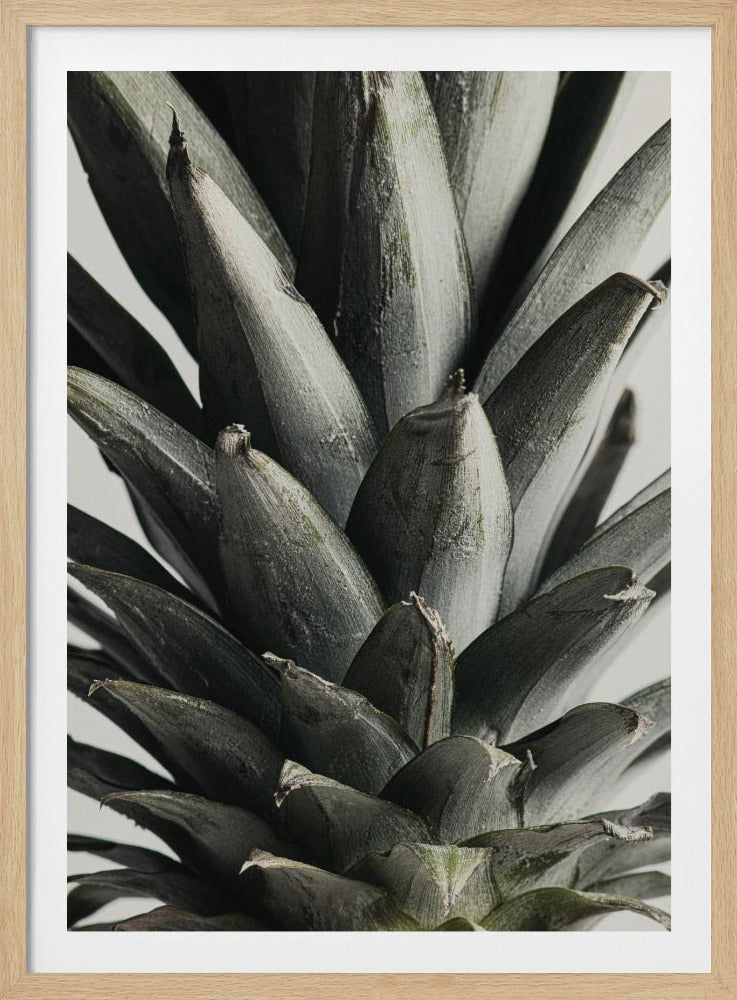 Ananas Nahaufnahme | Poster