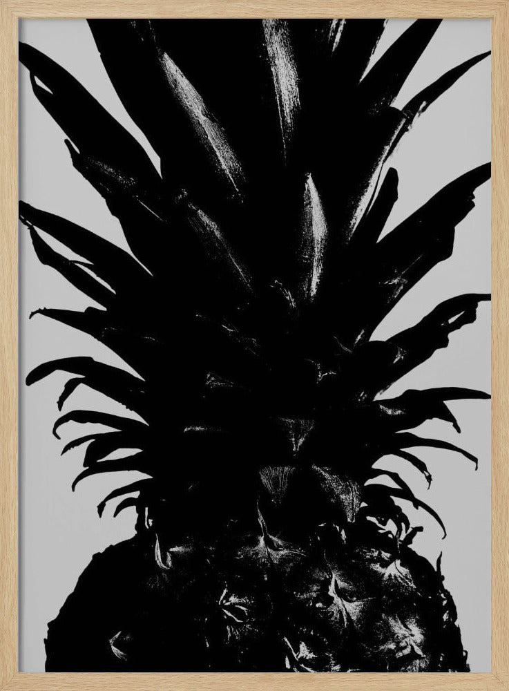 Ananas sw | Poster