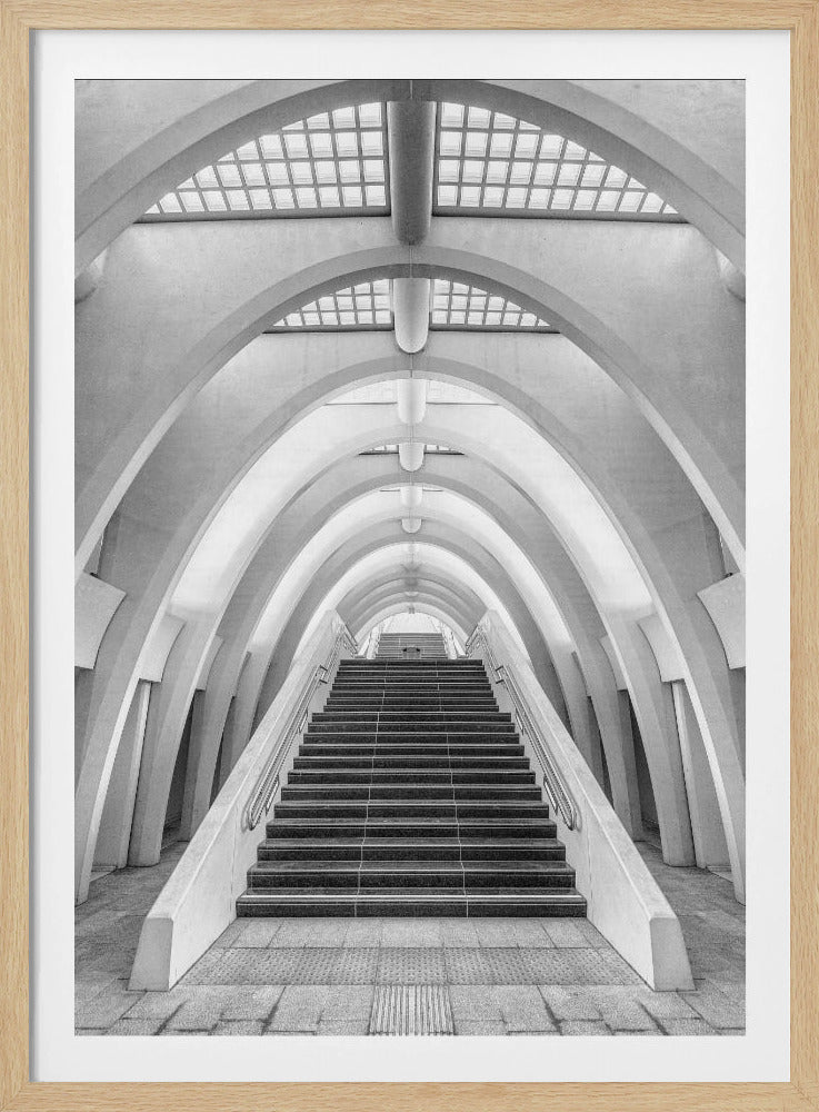 Calatrava-Linien | Poster