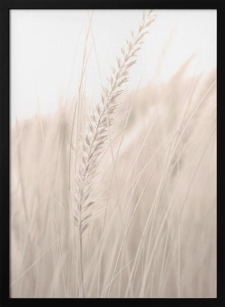 Grass_001 | Poster