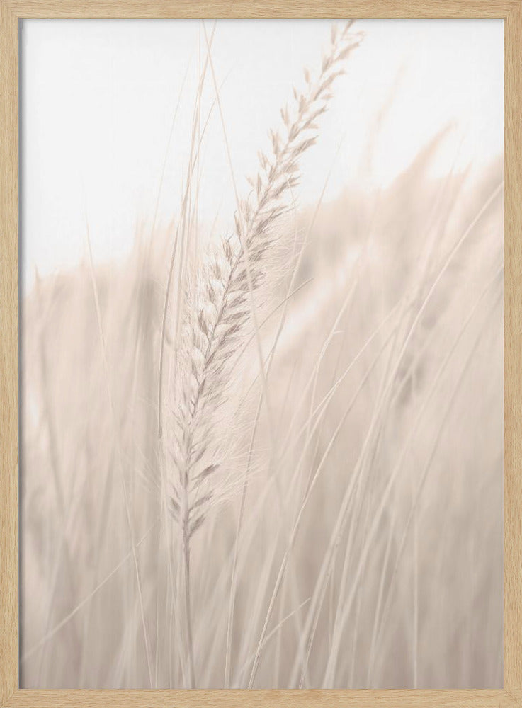 Grass_001 | Poster