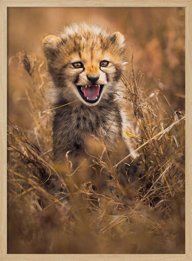 Big Smile | Poster