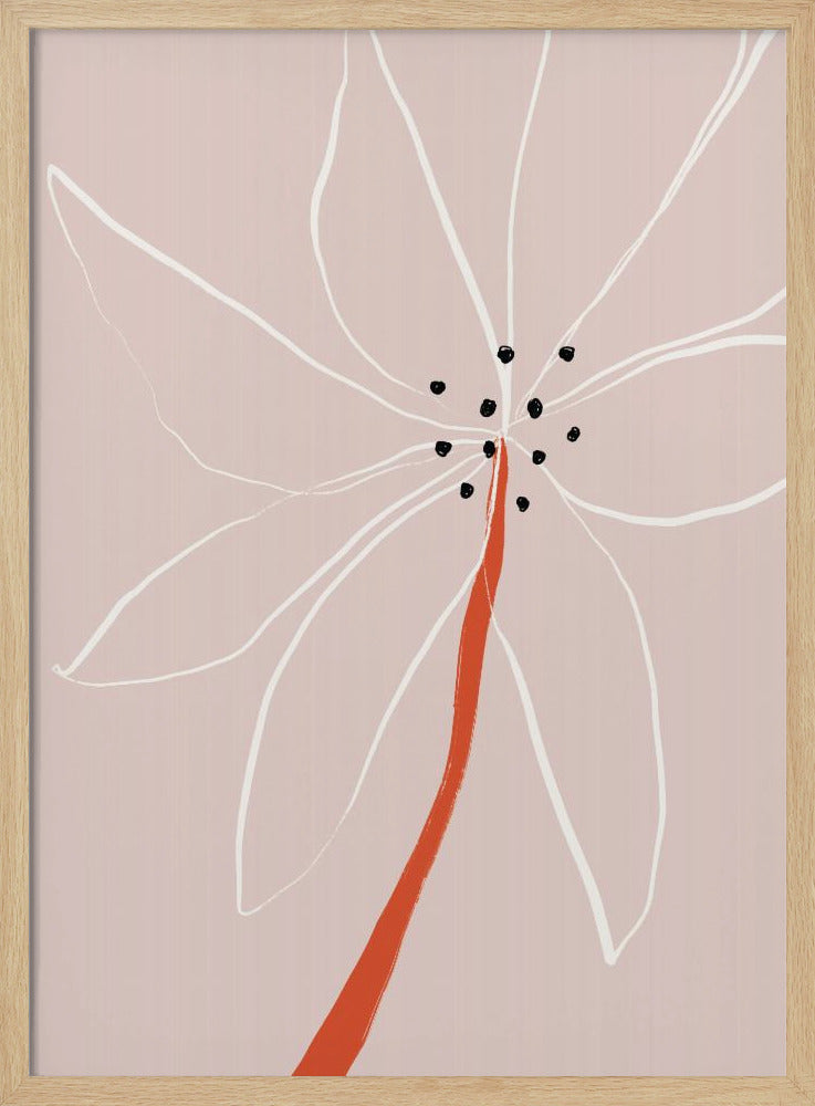 Delicate Abstract Flower with White Petals | Poster