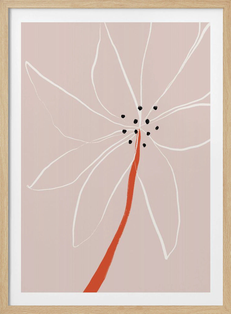 Delicate Abstract Flower with White Petals | Poster