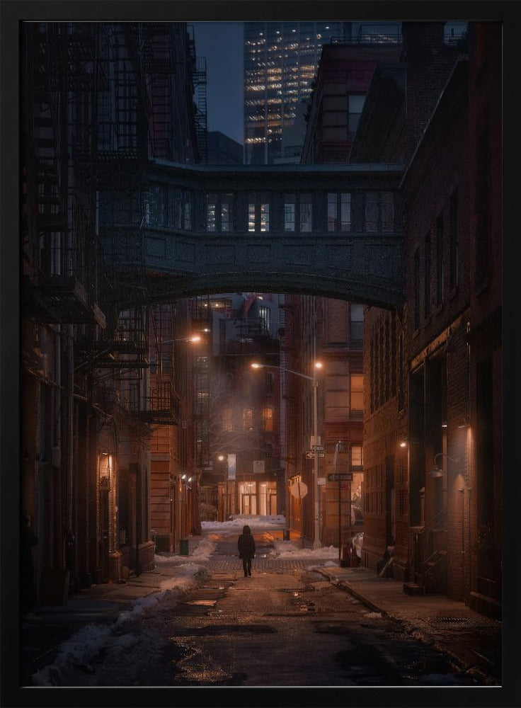 Unter der Skybridge | Poster