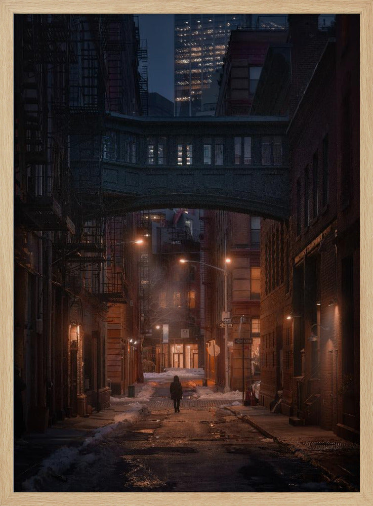Unter der Skybridge | Poster
