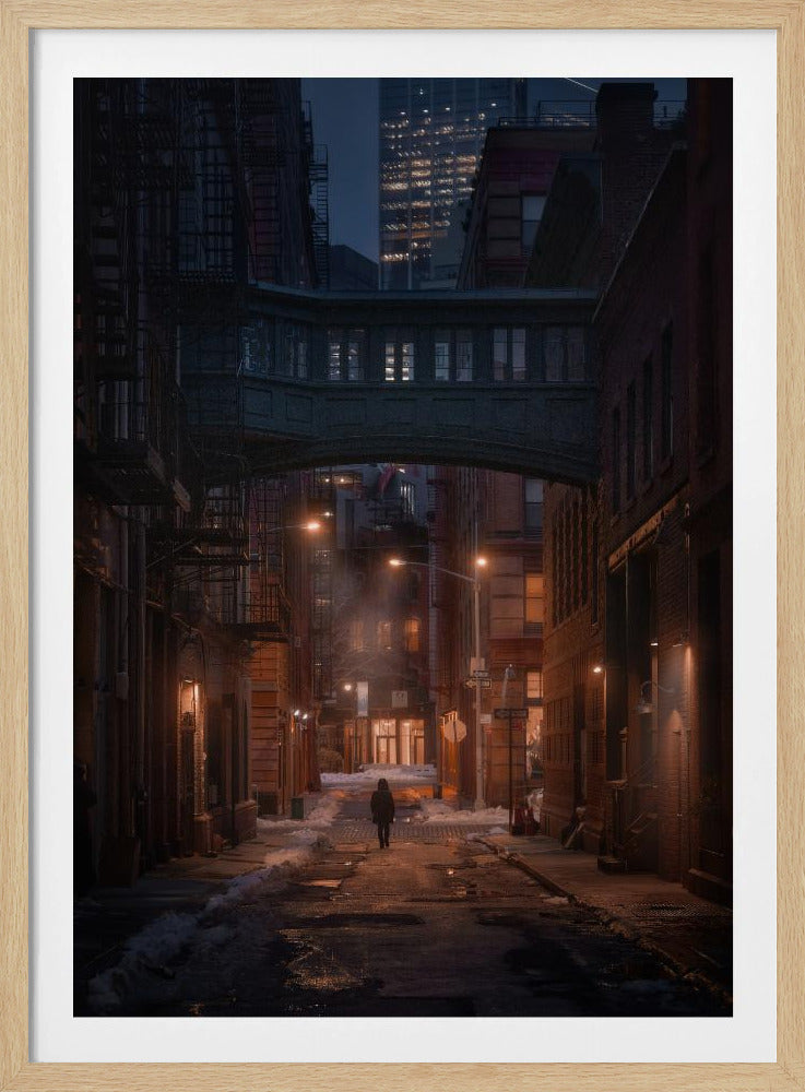 Unter der Skybridge | Poster