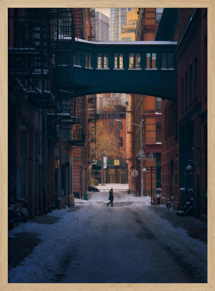 Unter der Skybridge | Poster