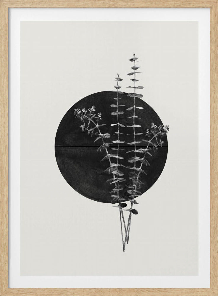 Eukalyptusmond | Poster