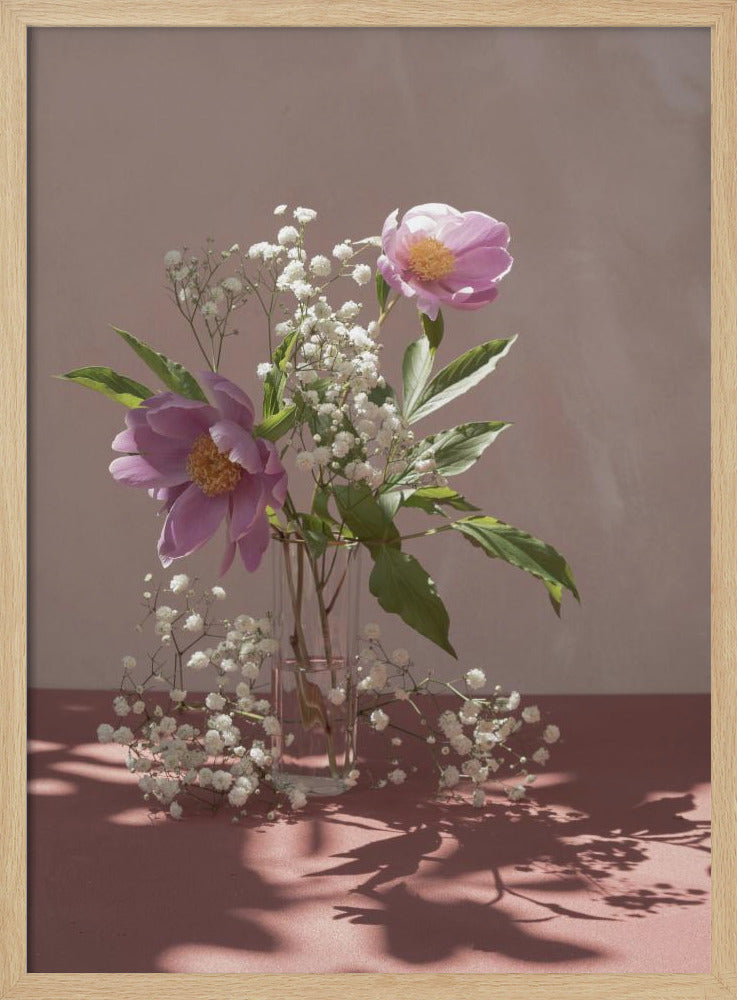 Light & shadow | Poster