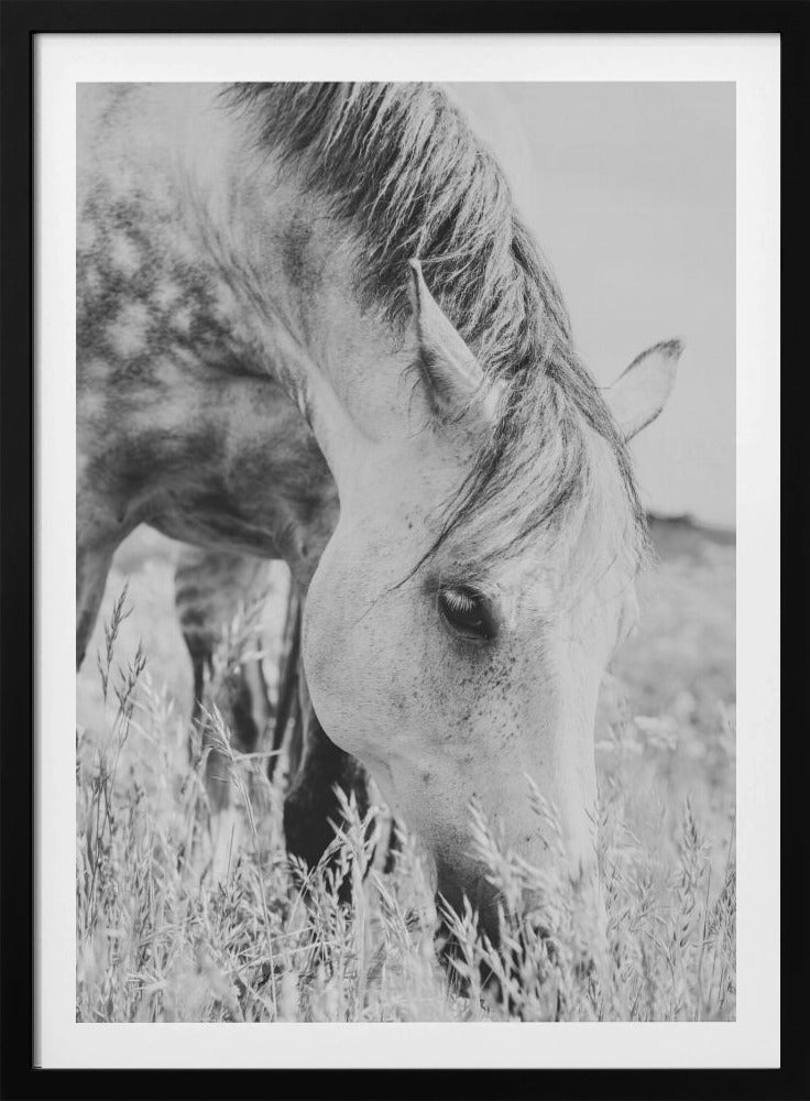 Hengst | Poster
