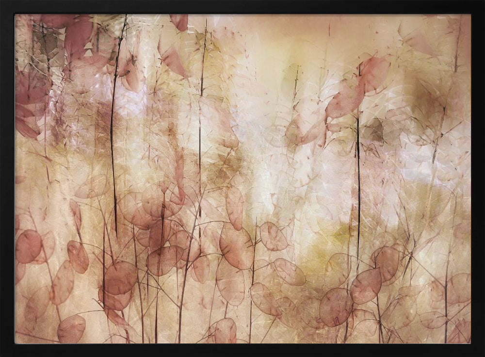 Seed pods | Poster