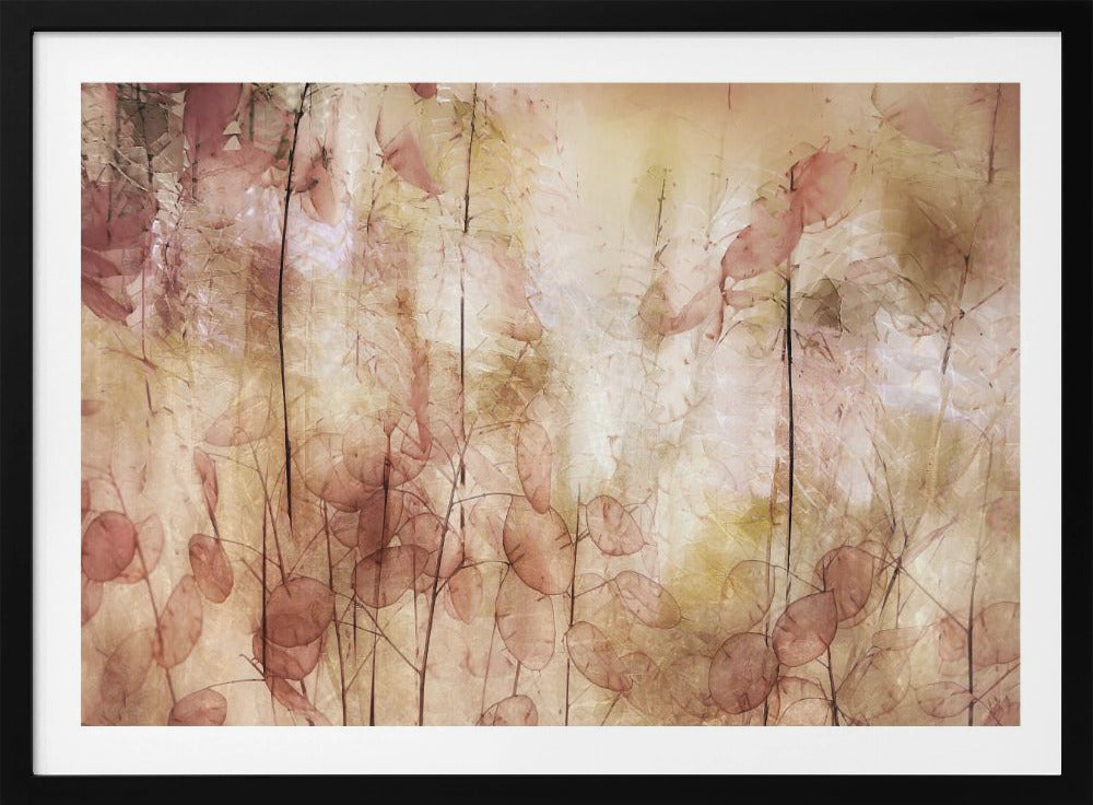 Seed pods | Poster