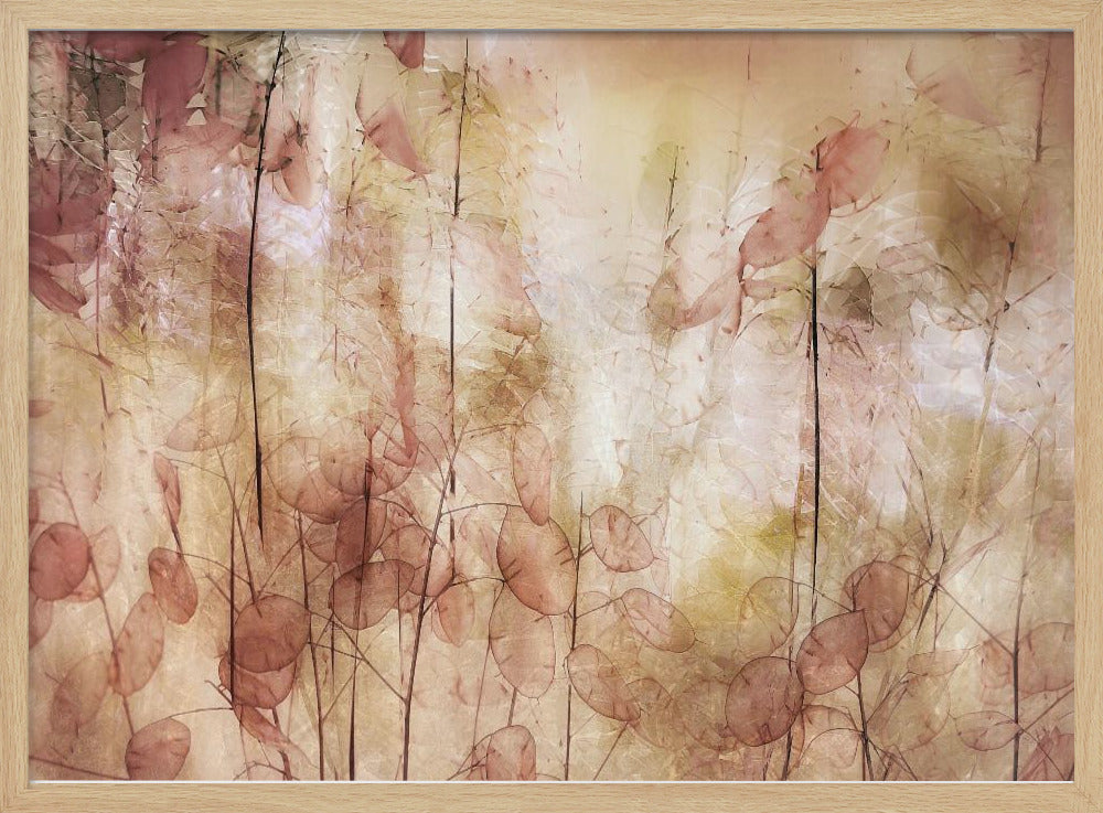 Seed pods | Poster