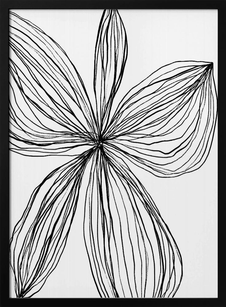 Minimalist Black and White Petals | Poster