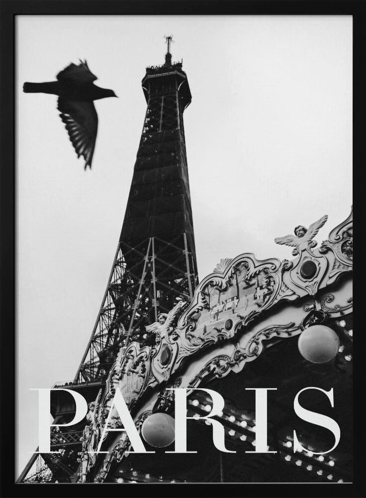 Pariser Taube | Poster