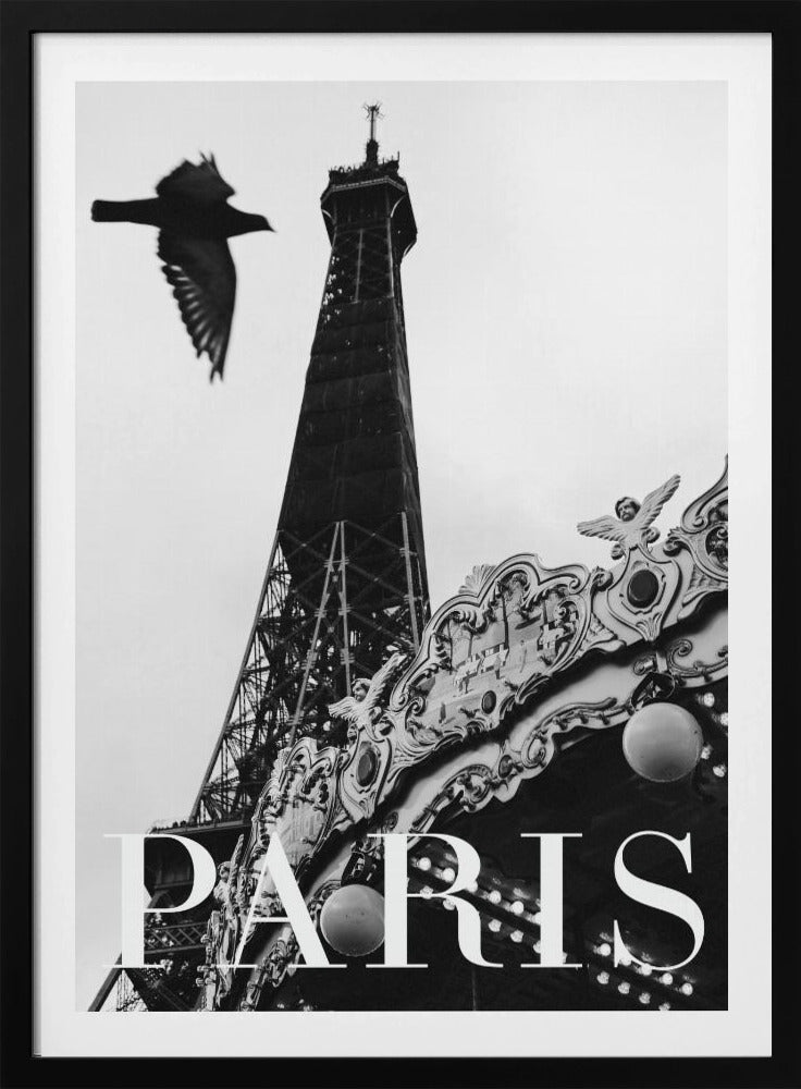 Pariser Taube | Poster