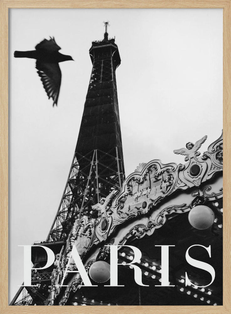 Pariser Taube | Poster