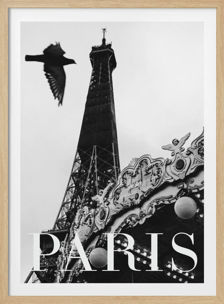 Pariser Taube | Poster