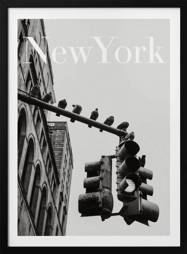NYC Tauben | Poster