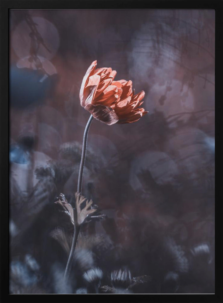 Elegance | Poster