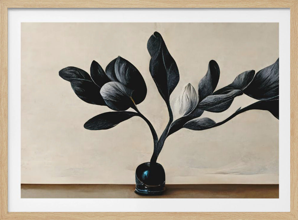 Schwarze Magnolie | Poster