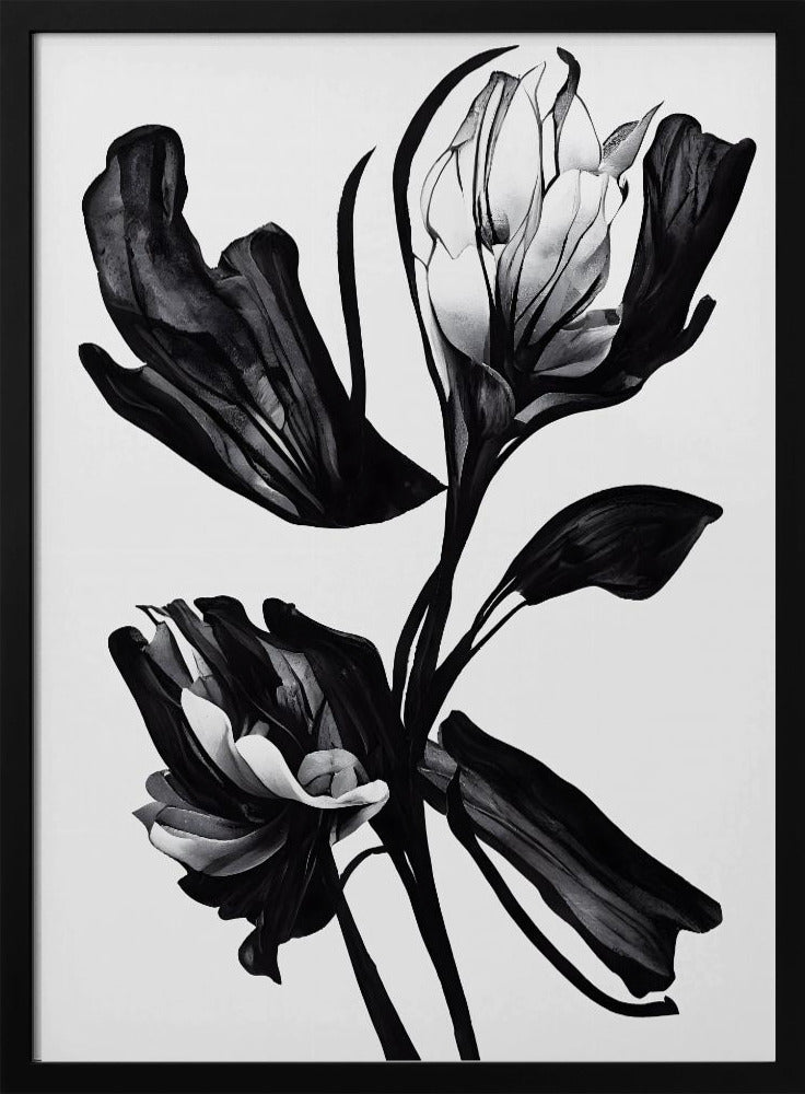 Schwarze Blume | Poster