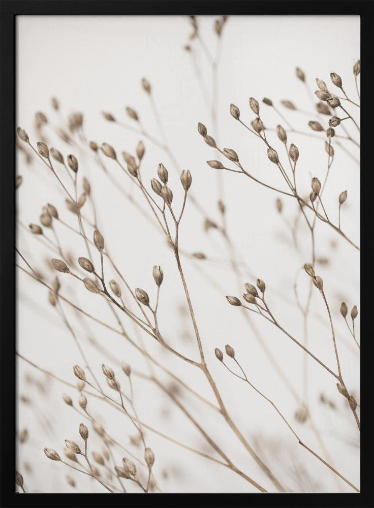 Wildes Gras | Poster