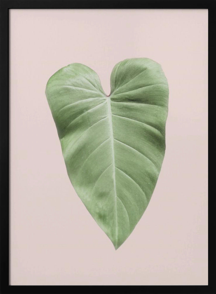 Tropisches Blatt-Rouge | Poster