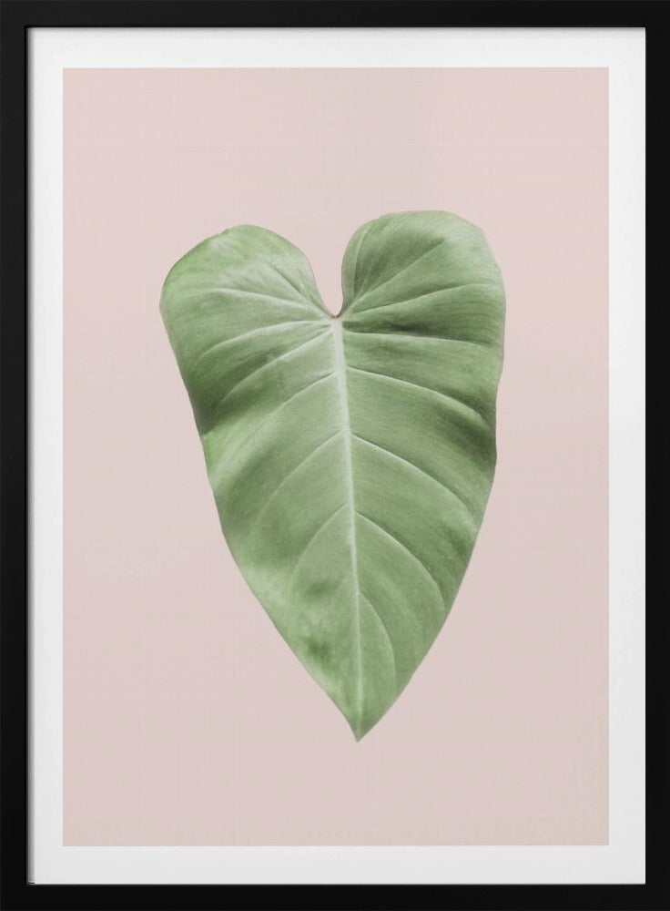 Tropisches Blatt-Rouge | Poster