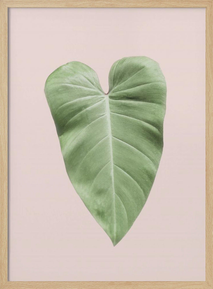 Tropisches Blatt-Rouge | Poster