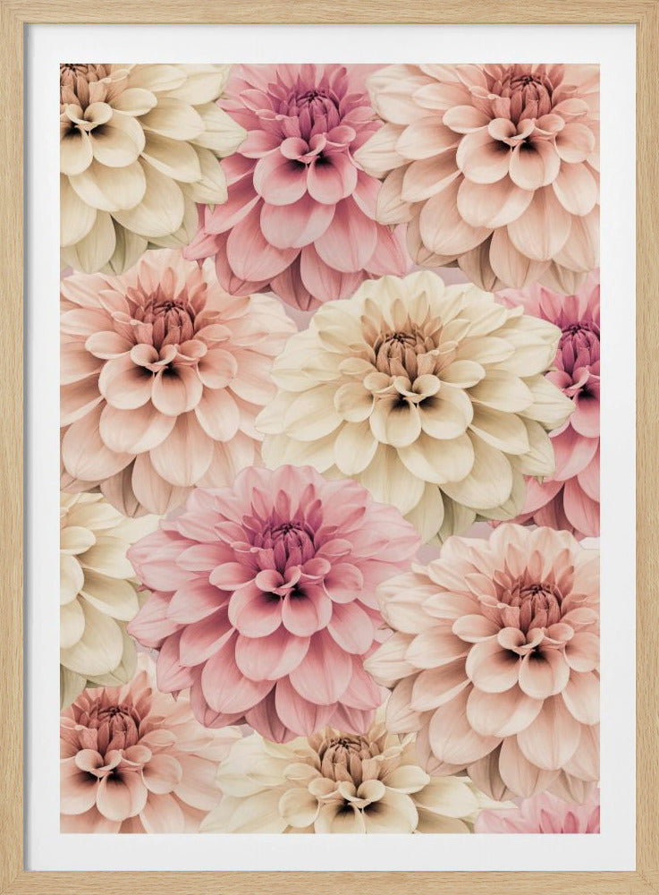Dahlie | Poster