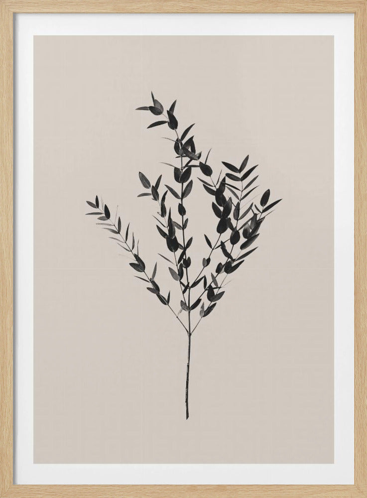 Tintenfarbenes Botanisches Poster