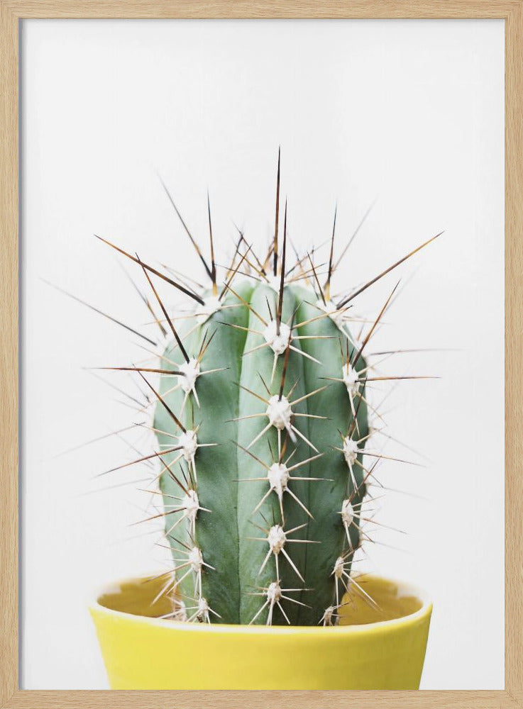 Stacheliger Kaktus | Poster