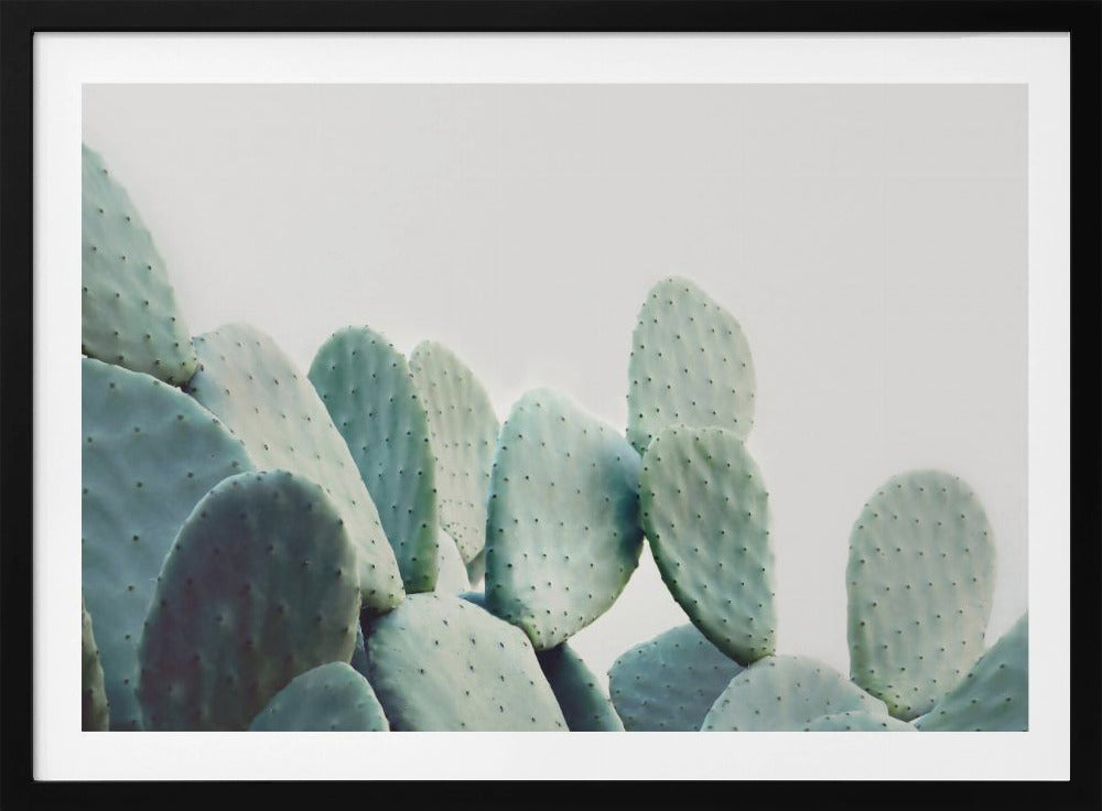 Pastell Kaktus | Poster