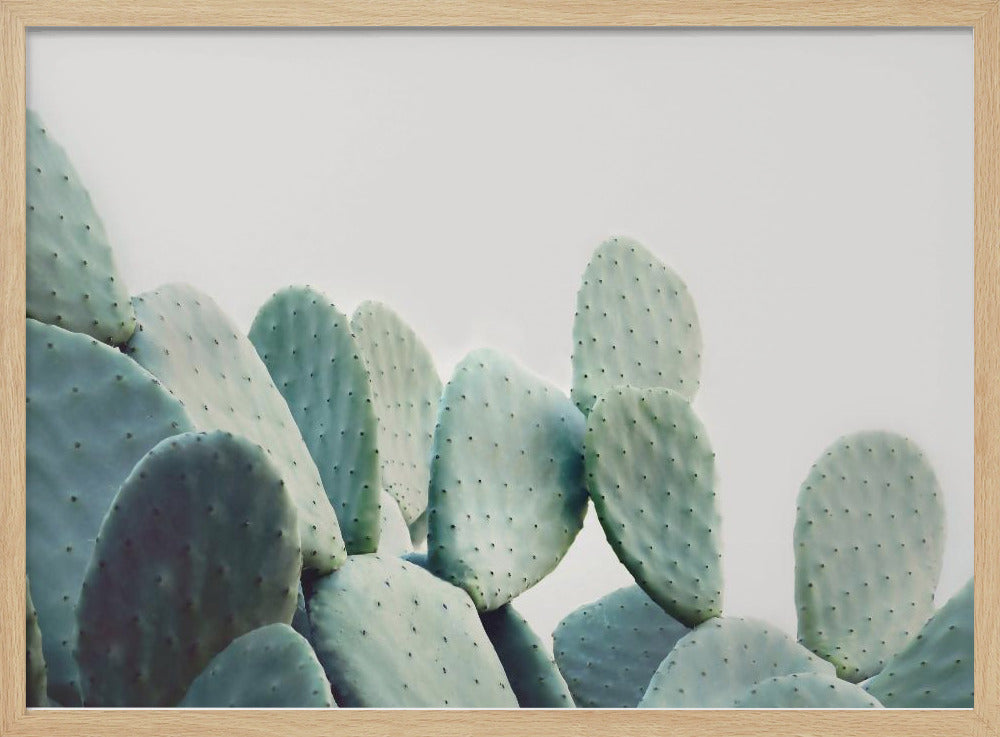 Pastell Kaktus | Poster