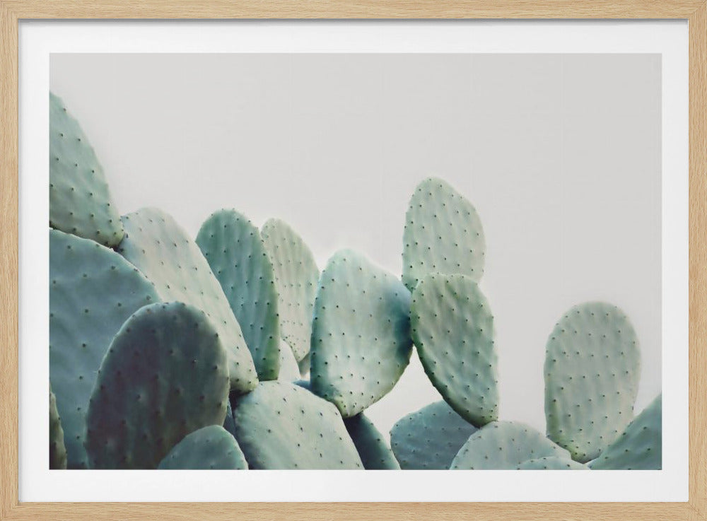 Pastell Kaktus | Poster